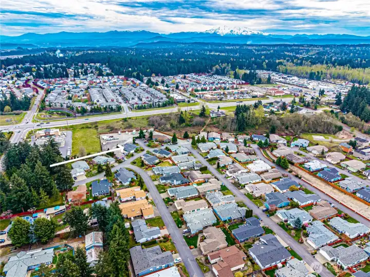 Overhead view of Azalea Gardens with Mt Rainier in the distance.