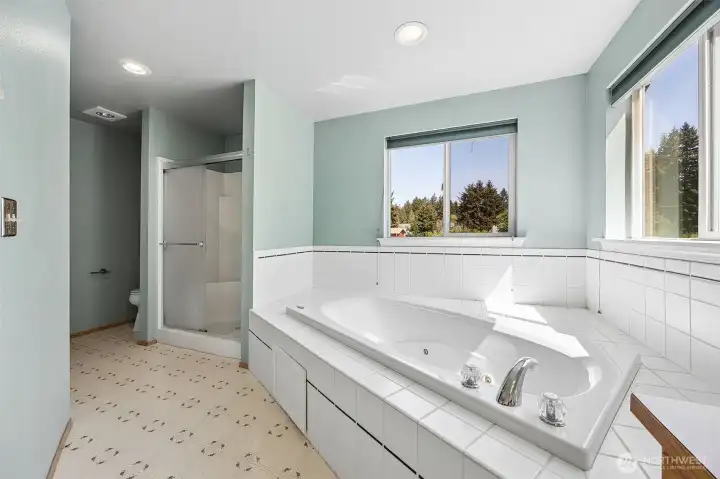 Spa-inspired bath showcases an oversized jetted tub, walk-in shower, and abundant natural light.