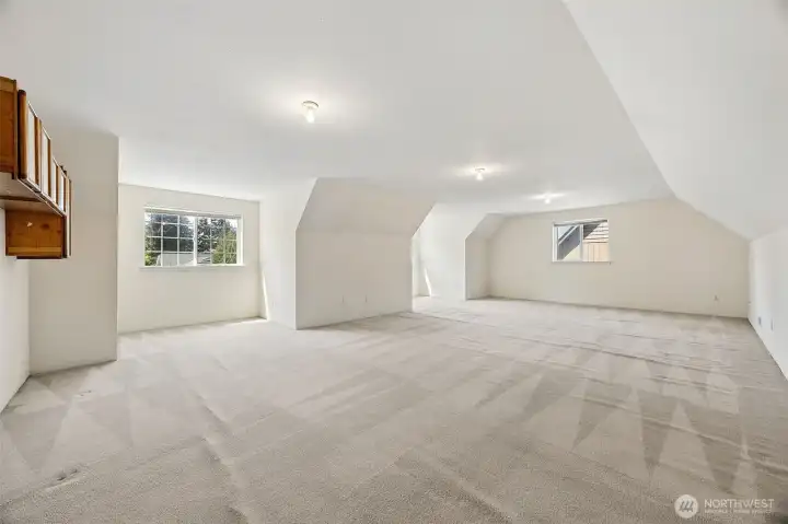 Second view of the large bonus/flex room.