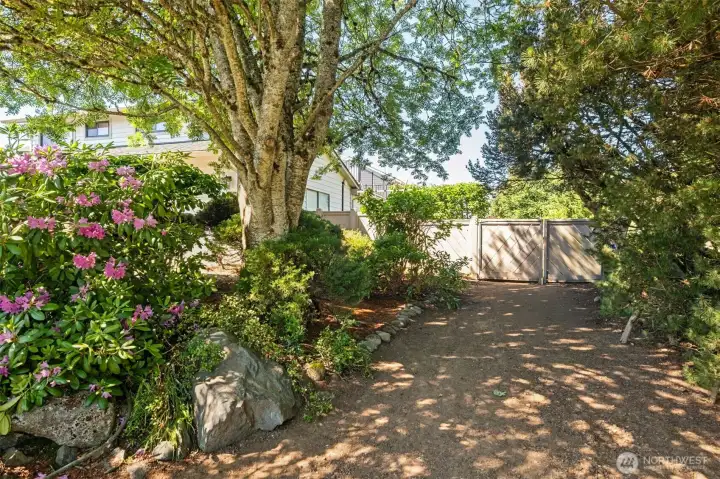 Front side yard includes a driveway area for access to the backyard through the double gate for storing rec vehicles behind gate.