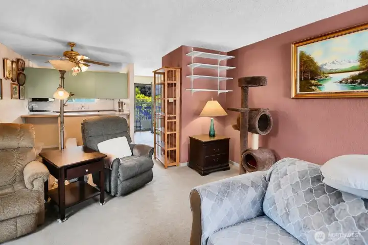 *Living Room - This photo is has been digitally decluttered