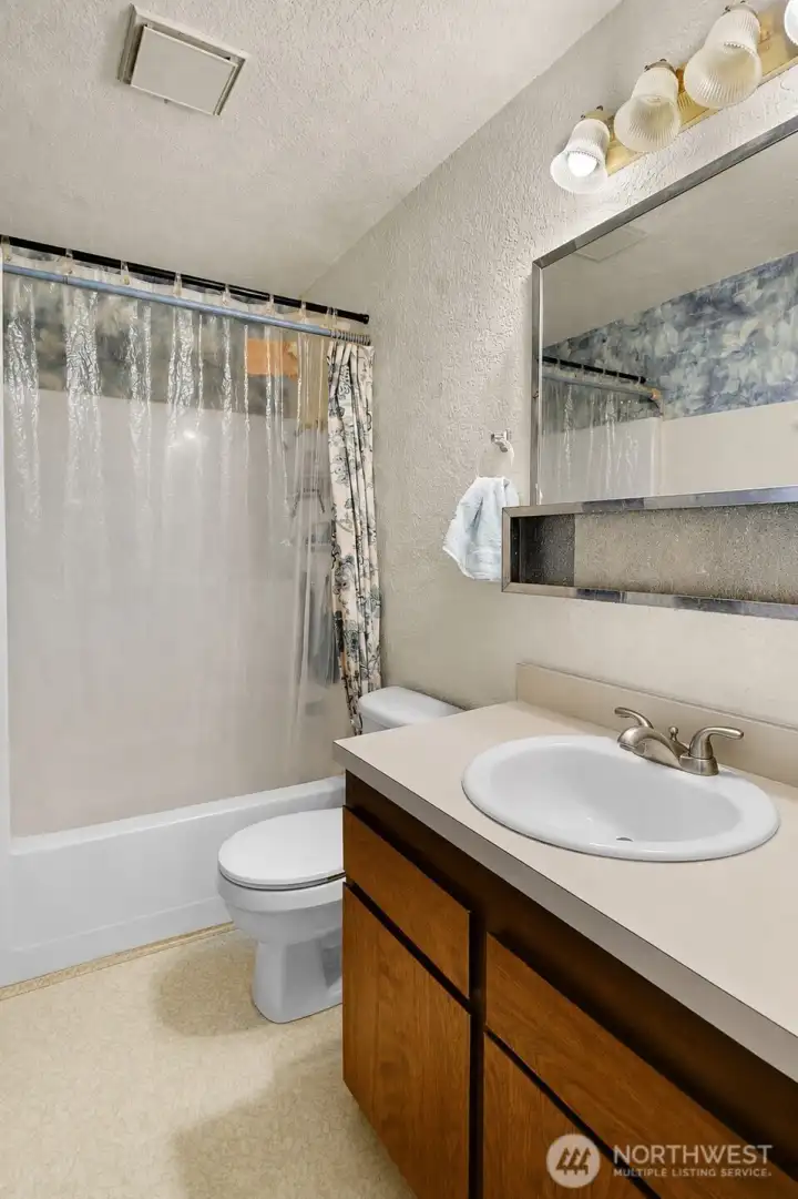 Main Bathroom- This photo is has been digitally decluttered