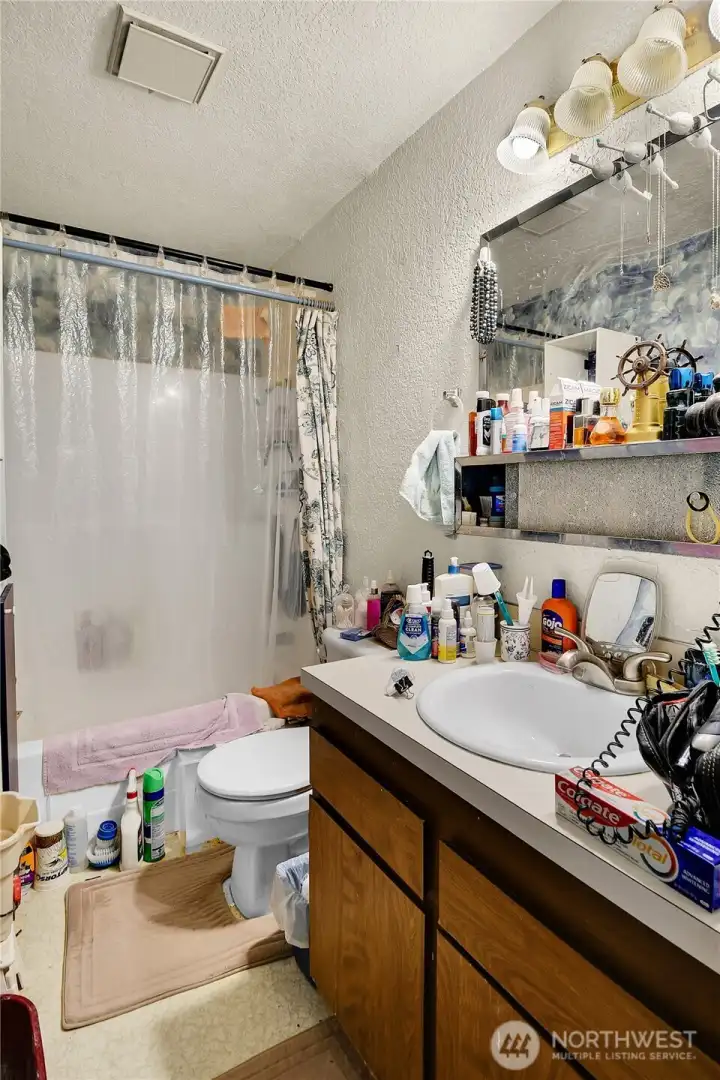 Main Bathroom- This photo is has been digitally decluttered