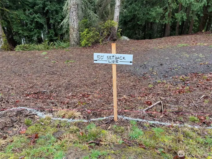 The approved building site starts just past the   white line.