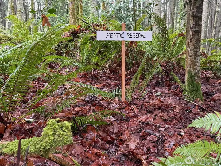 The septic reserve area is just to the east (or   right) of the primary drainfield.