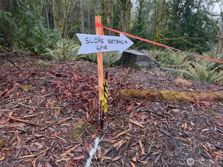 There is a 40' setback from the top of the   slope, the 40' ends right here. All building   must be in the area enclosed by the white   line and orange flagging.