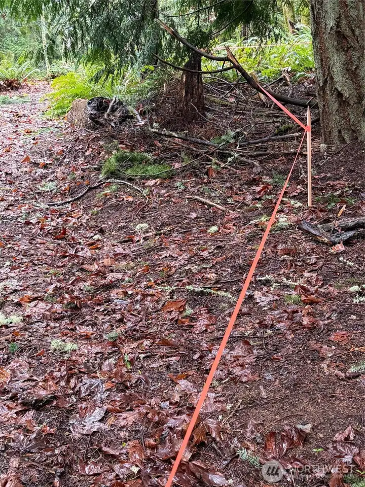 Mid-point of slope setback. Building is   allowed to the right of the orange flagging.