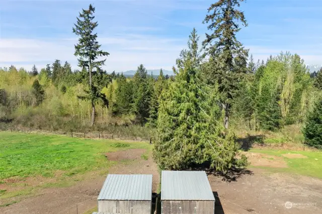 Olympic Mountain Views from a potential Homesite.