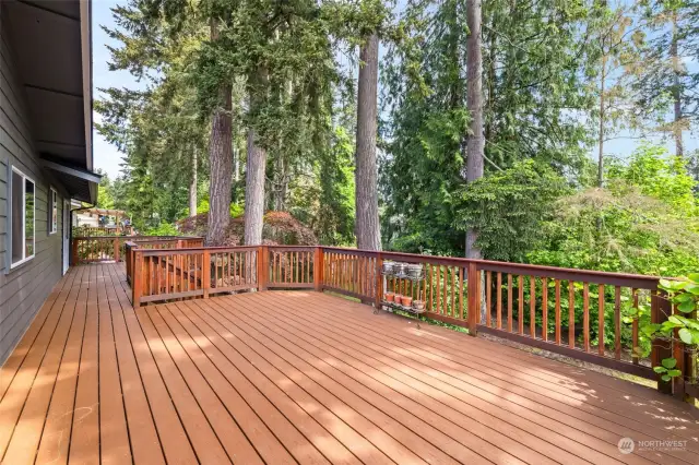 Step out slider to a beautiful Trex type deck
