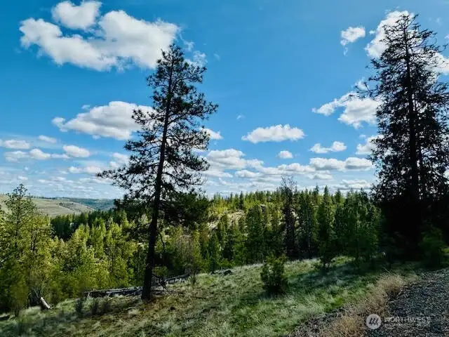 Views