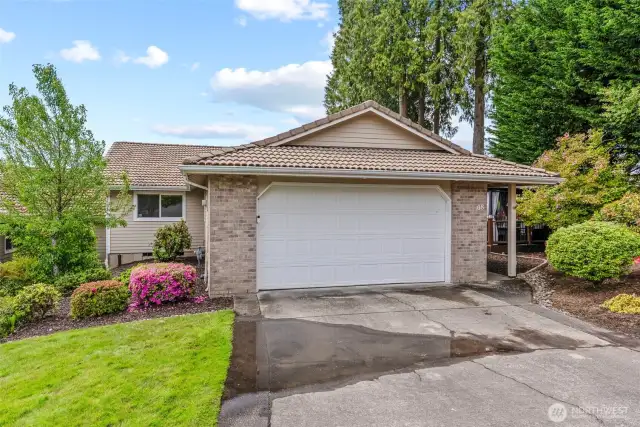 Beautiful Mature Landscaping