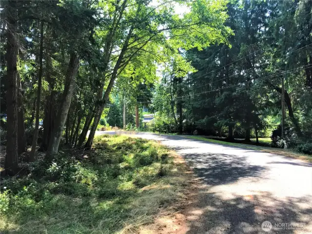 Secluded Lake Side Road