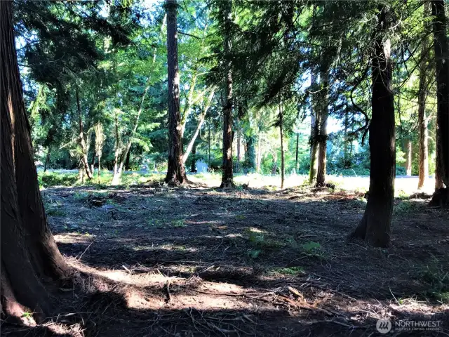 Partially Cleared