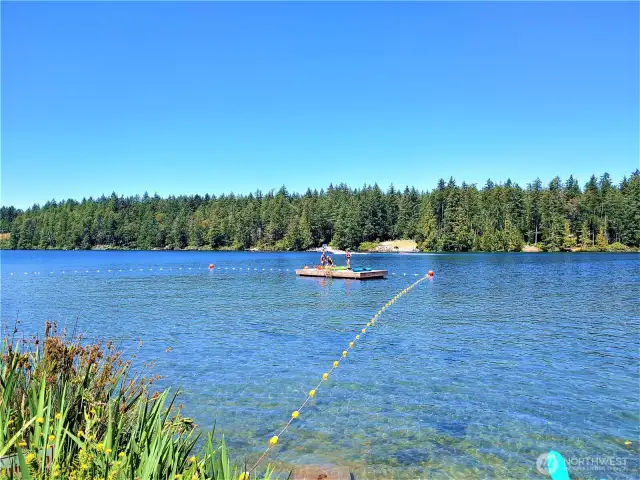 Lake Swimming