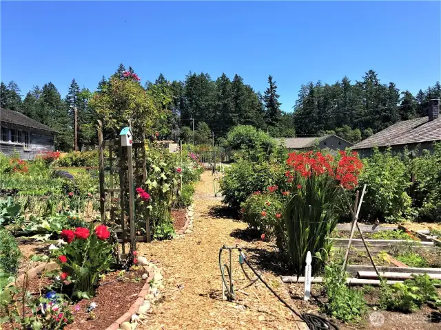 Anderson Island Community Gardens