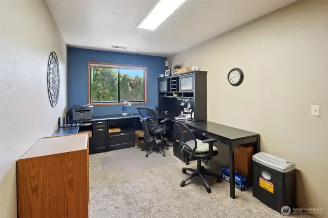 Bedroom 1 on lower level- currently set up as an office