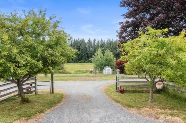A gated entrance welcomes you onto the property, with one of the multiple chicken coops straight ahead.