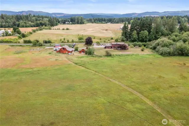 The property includes 4 apple trees, 3 pear trees, and 6 mature blueberry bushes - all well-established and producing high yields each year.