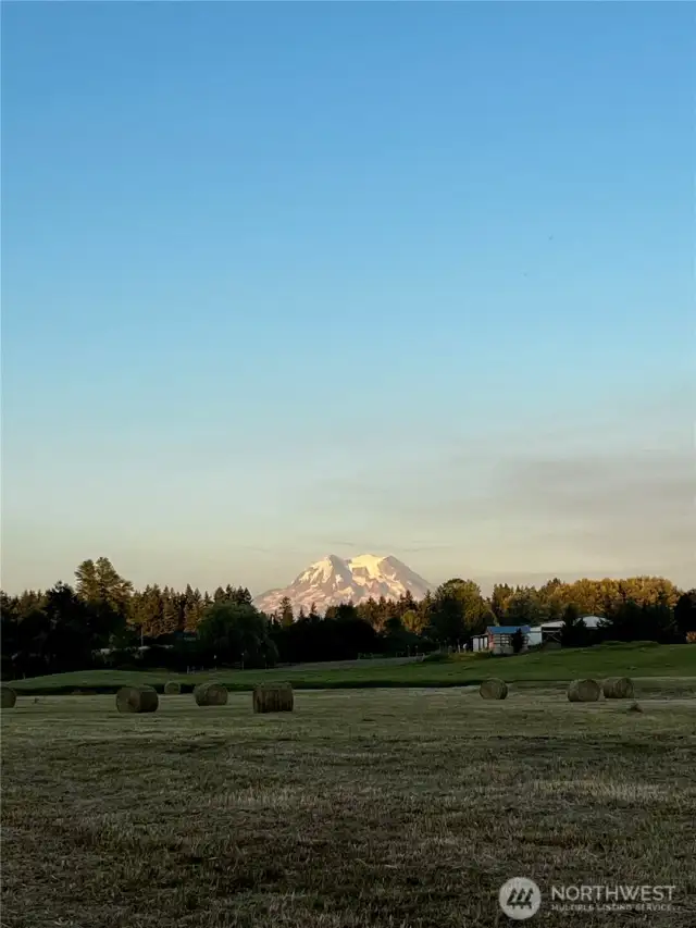 The pasture offers stunning views of Mount Rainier! Truly a sight to behold.