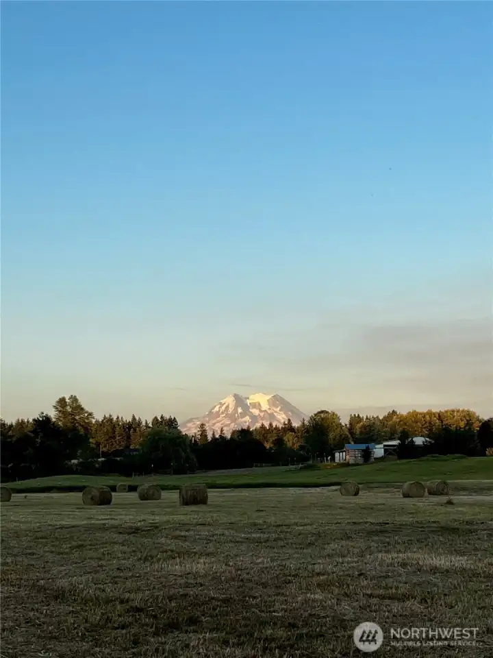 The pasture offers stunning views of Mount Rainier! Truly a sight to behold.