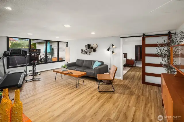 Lower level Family Room area~