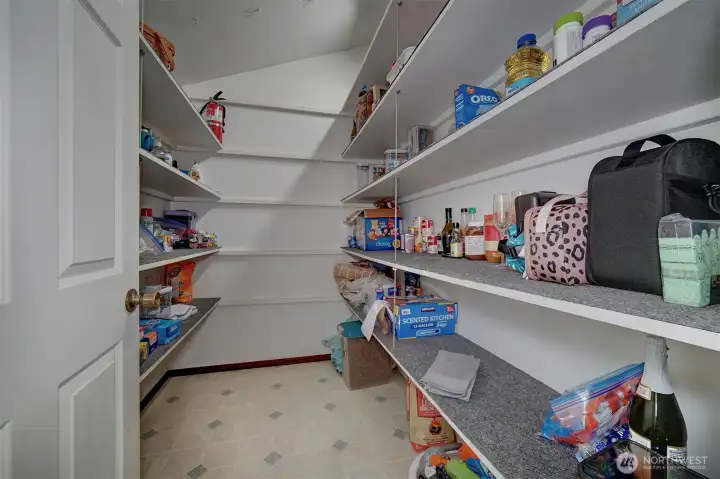 Huge walk-in pantry.