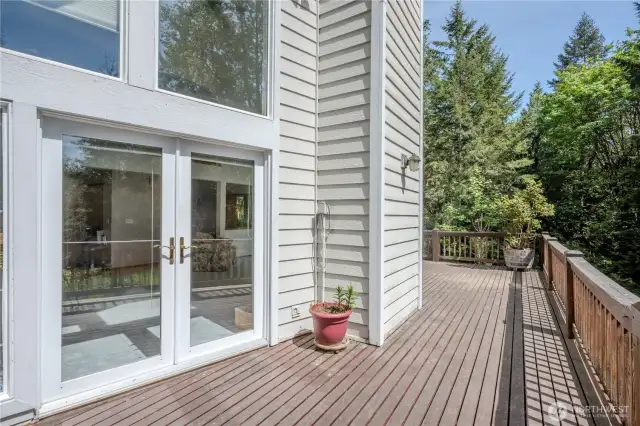 back porch overlooking Pond and forest views