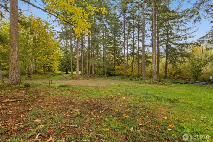 View from the building site looking toward the driveway approach.