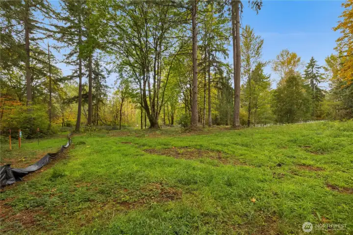 Rear yard area backing to greenbelt