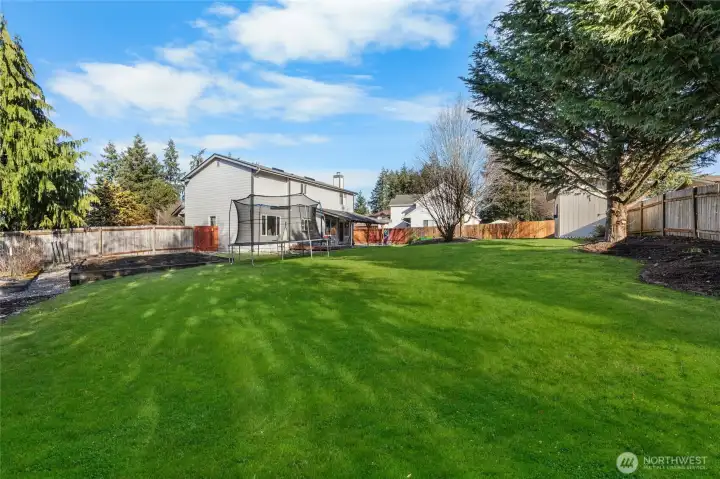 Large, fully fenced yard