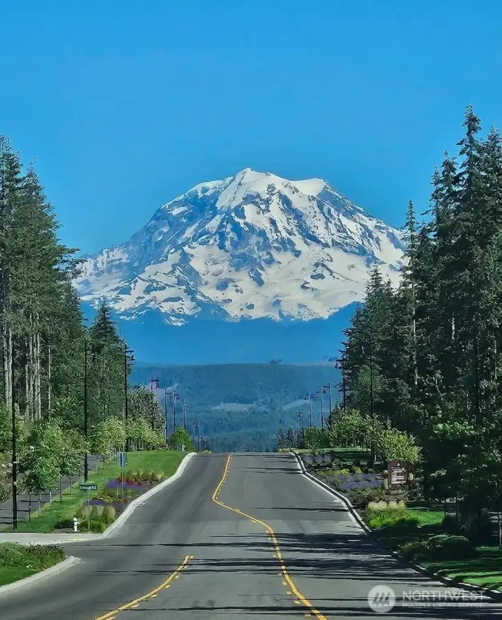 The Mountain is Out!