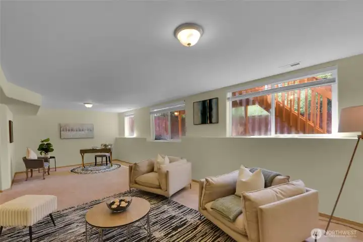 Rec room / bonus area lower level