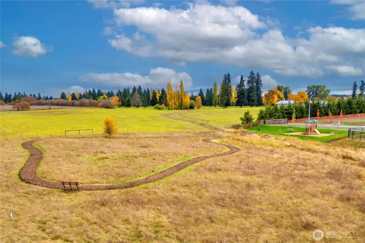 Walking trails as part of community park at north end of community