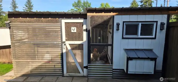 Chicken coupe with chickens if you want !