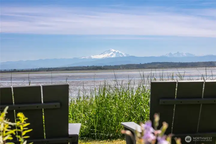 View towards Mt Baker