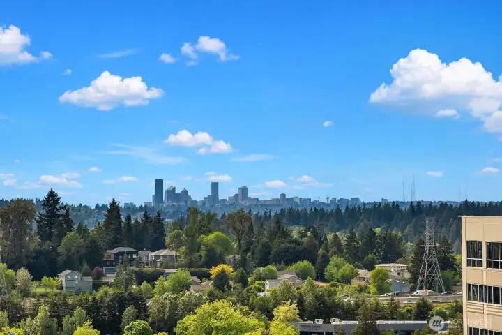 Spectacular unobstructed views of the Seattle skyline framed by lush treetops and blue skies, visible right from your own balcony. Spectacular unobstructed views of the Seattle skyline framed by lush treetops and blue skies, visible right from your own balcony.