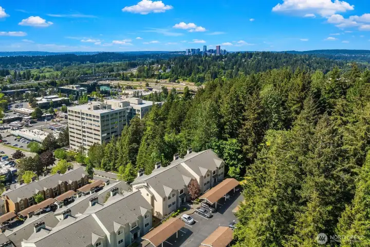 Aerial view highlighting Sterling Heights' prime Factoria location surrounded by towering evergreens, with the Seattle skyline visible in the distance. Aerial view highlighting Sterling Heights' prime Factoria location surrounded by towering evergreens, with the Seattle skyline visible in the distance.