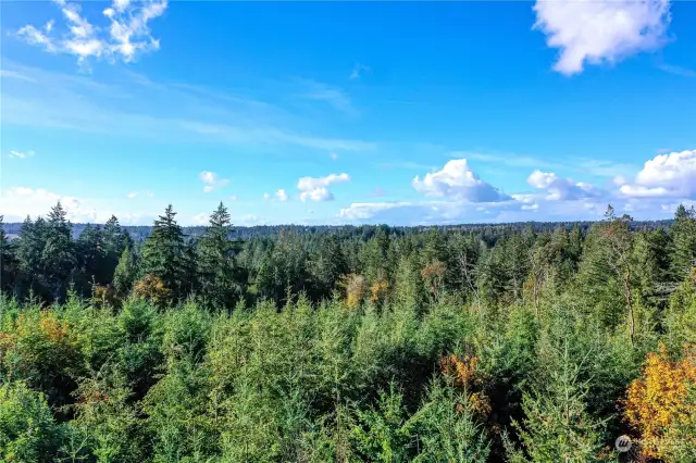 west  facing Olympic Mountain views