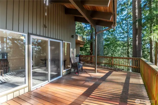 Main floor entertaining deck