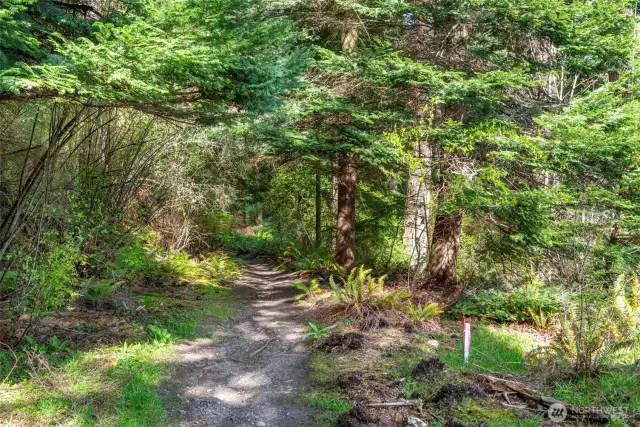 Trail leading to DNR lands and Deception Pass Park-miles of hiking