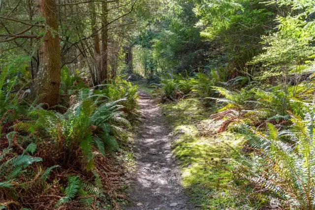 Hiking trail to the Park & Cornet Bay