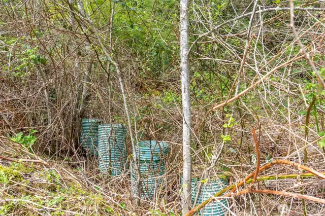 Partial septic installation