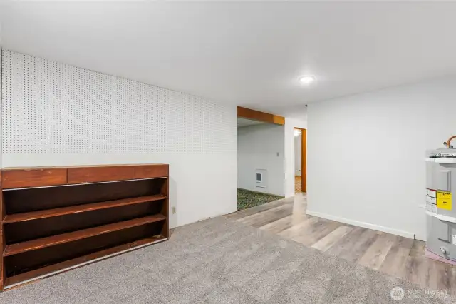 Bonus room downstairs