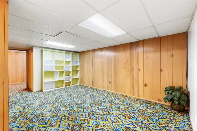Rec-room downstairs with wall of built-ins