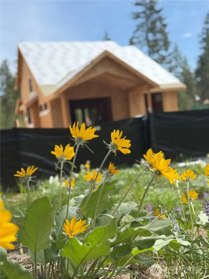 Home is under construction now. Estimated completion October 2nd, 2026 Home is under construction now. Estimated completion October 2nd, 2026