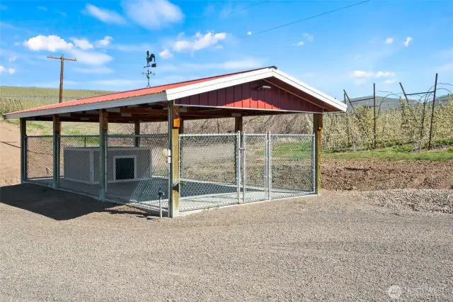 Dog run