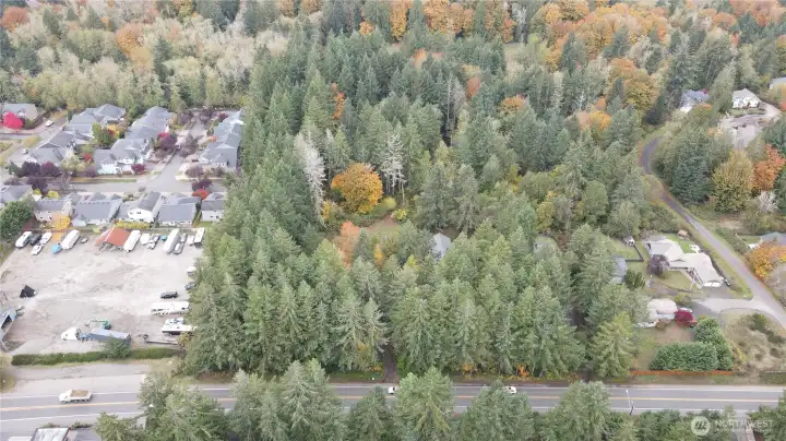 There is some timber on this property.