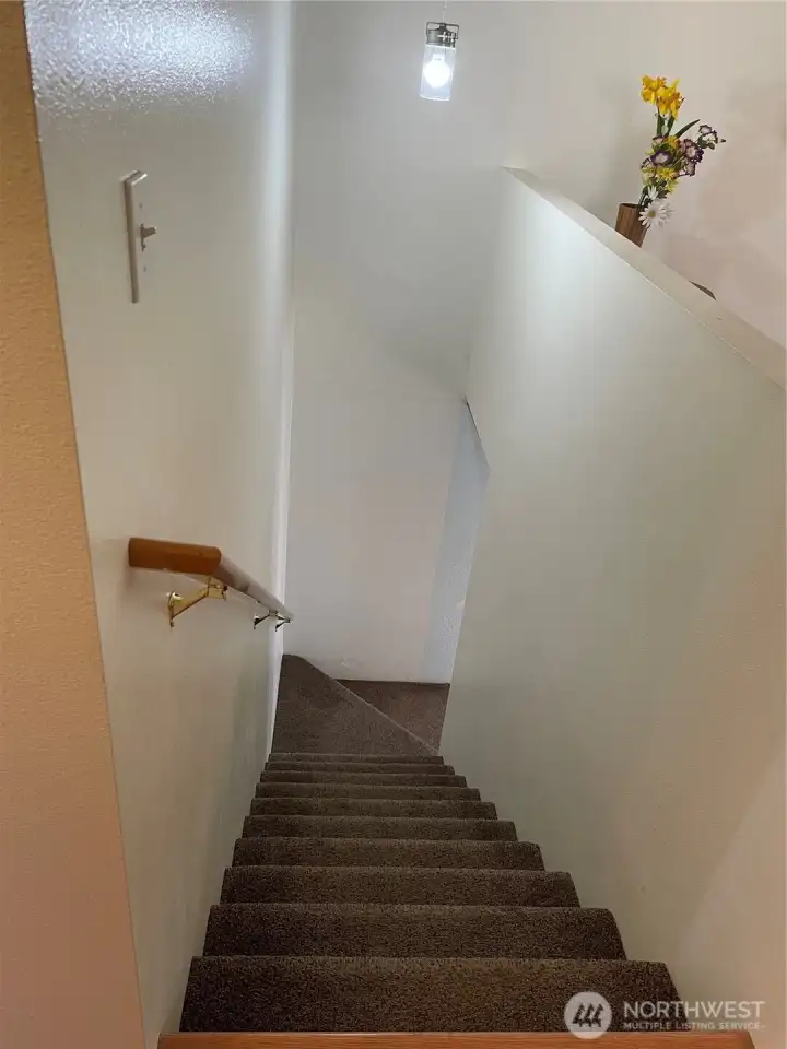 carpeted stairs to lower level