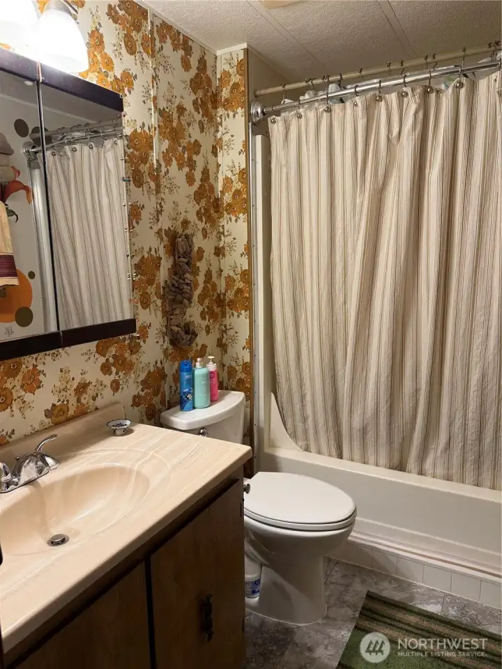 Hall bath