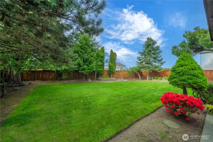 Leveled, fully fenced yard.